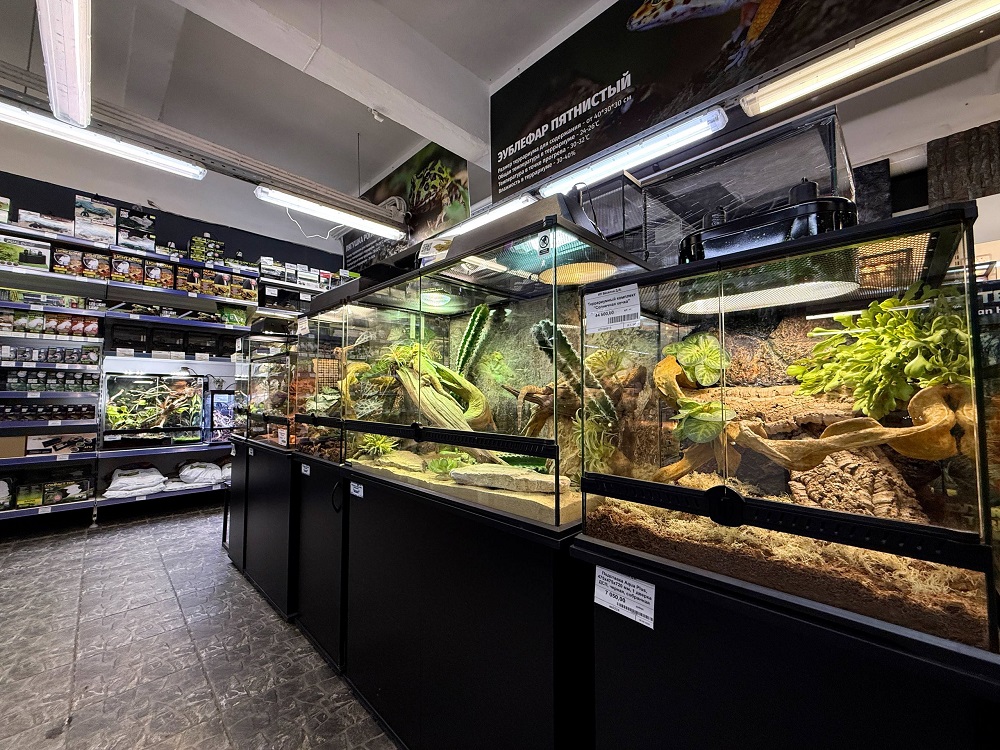 EXOMENU СПб фото 32