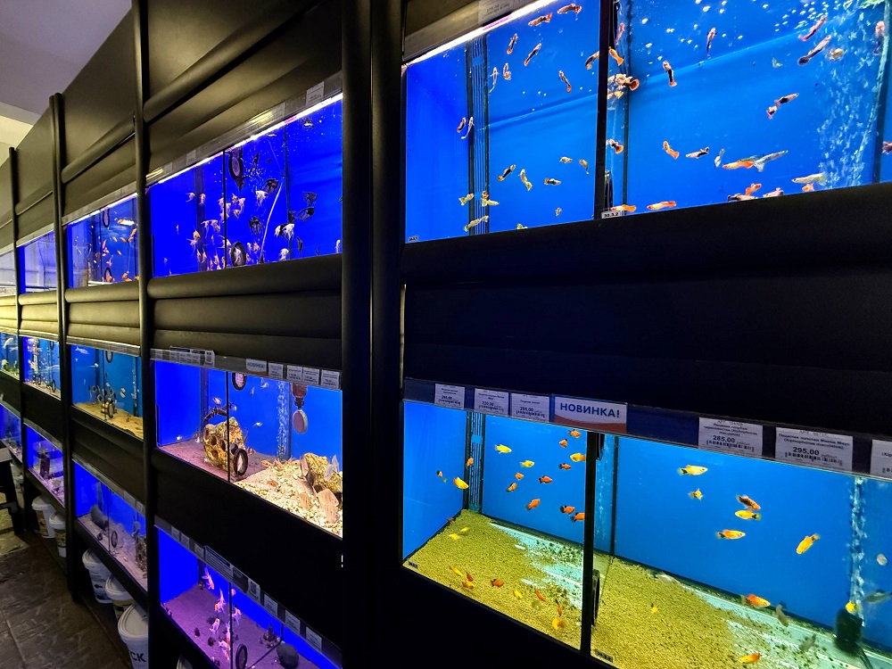 EXOMENU СПб фото 33