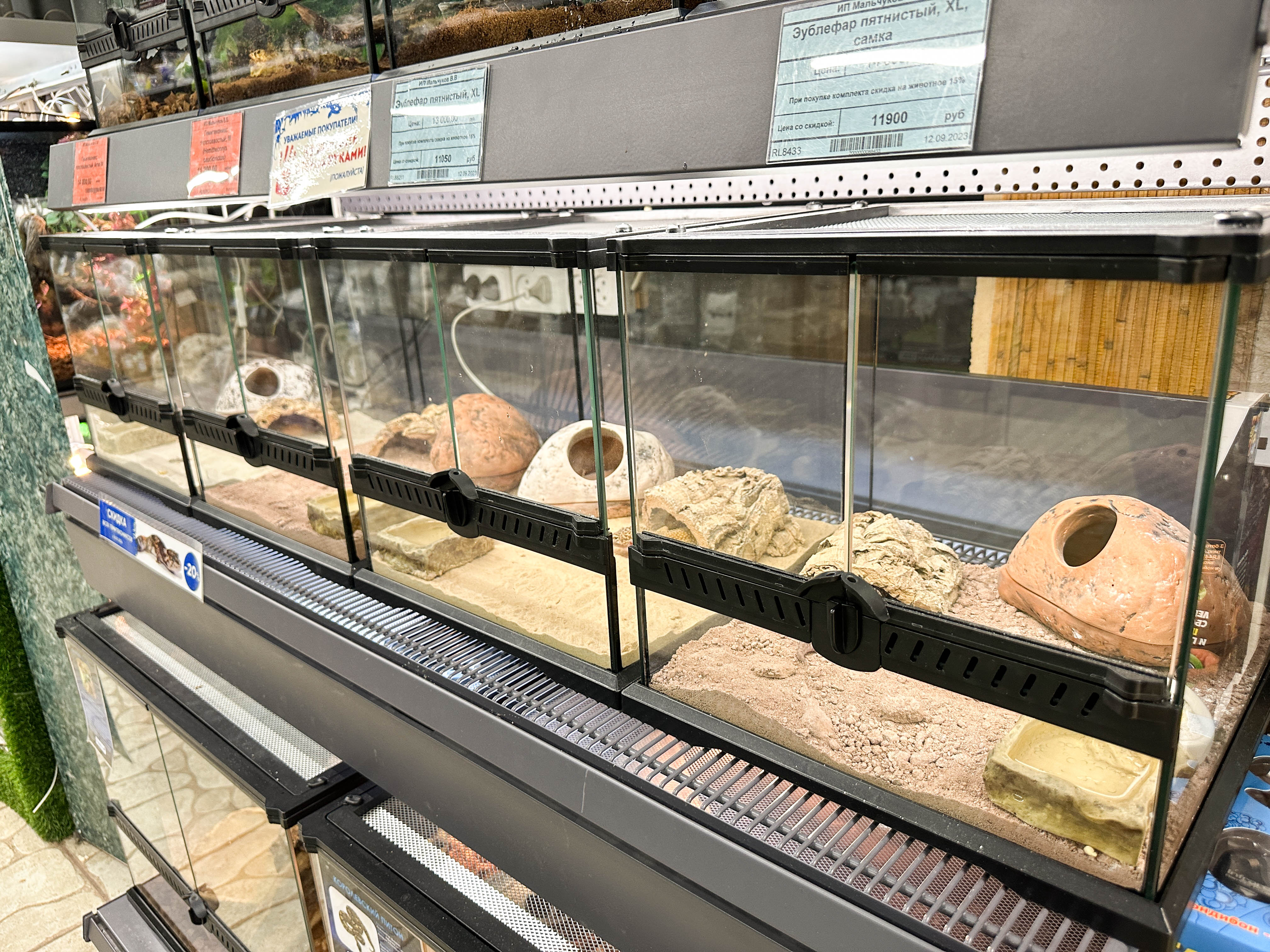 EXOMENU СПб фото 9