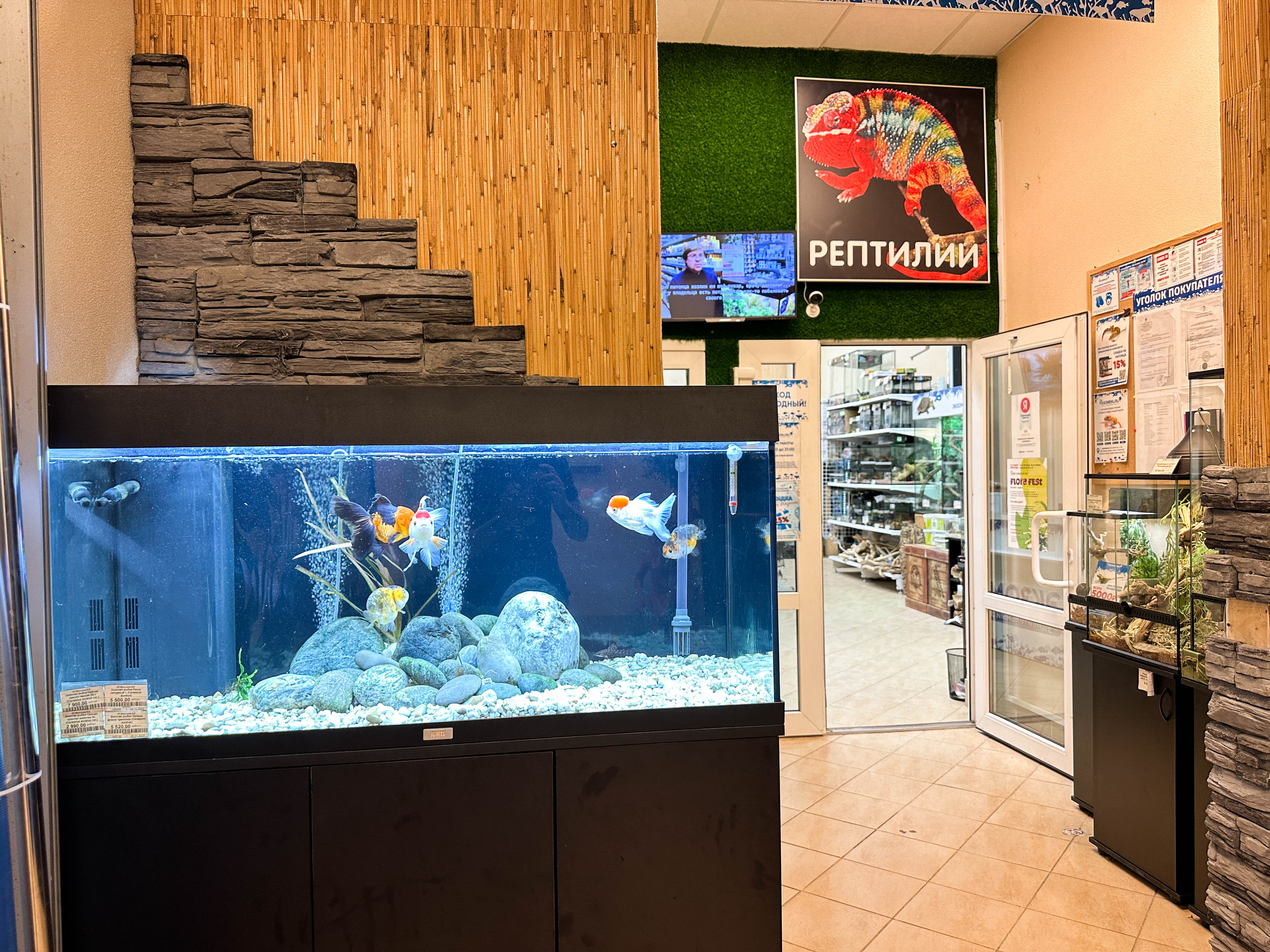 EXOMENU СПб фото 18