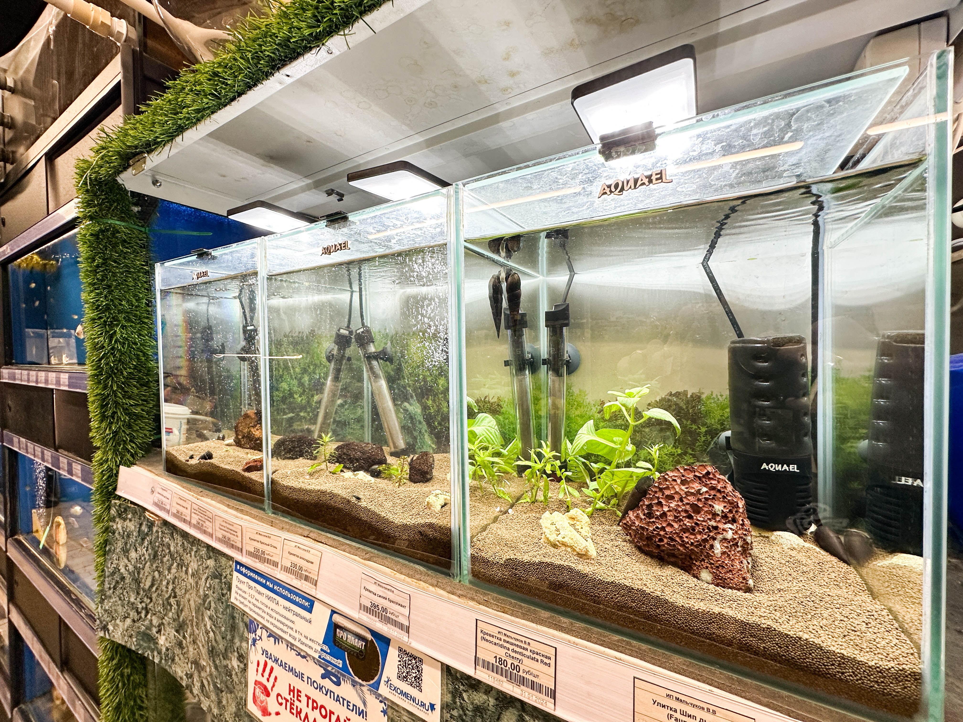 EXOMENU СПб фото 6