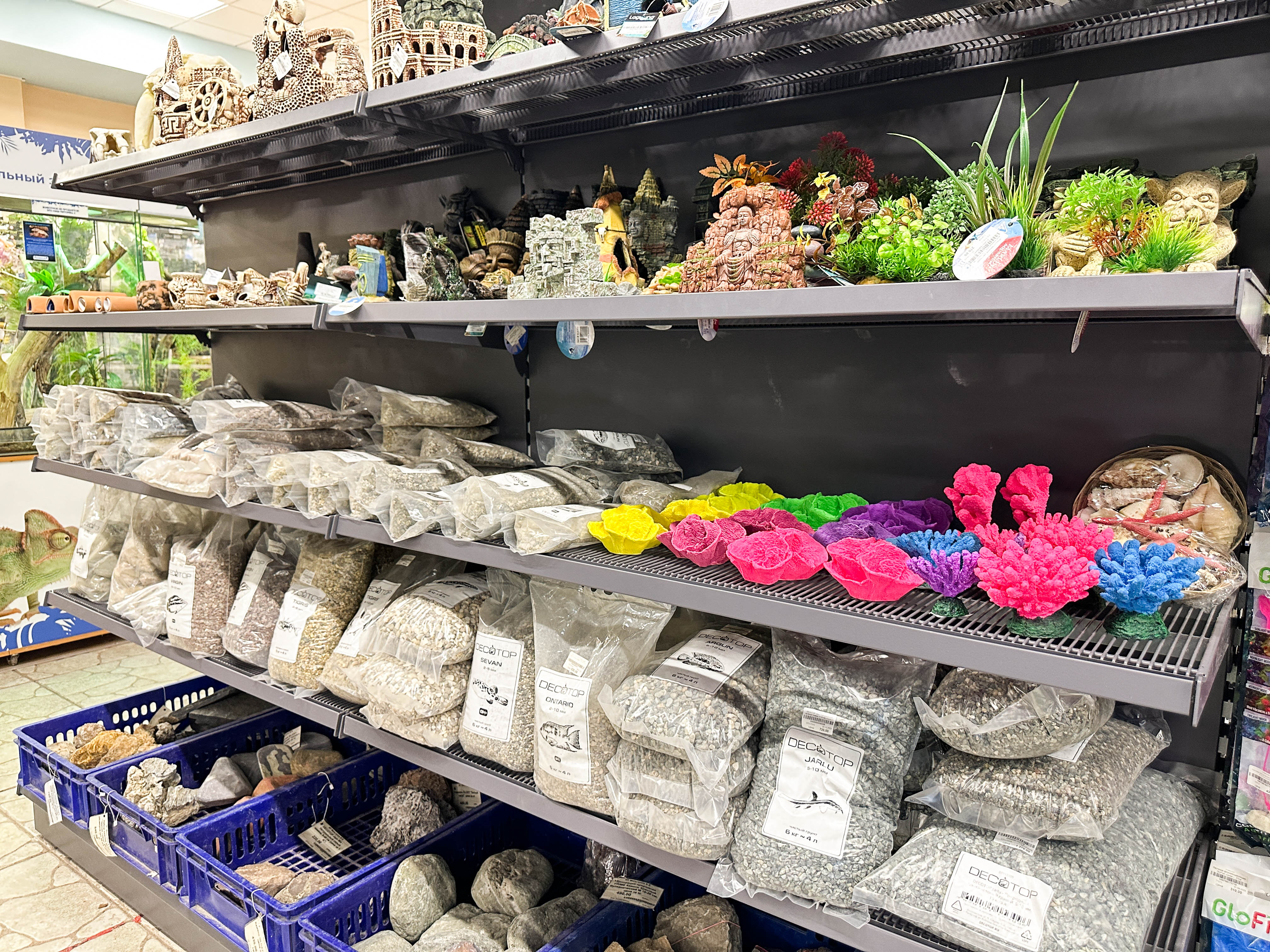 EXOMENU СПб фото 7