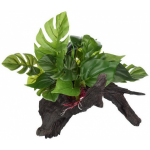 LUCKY REPTILE Декоративная коряга лесная, премиум "Forest Wood Premium" 37х25.5х27см