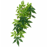 Тропическое растение Exo Terra Jungle Plants Абутилон малое, 40х25 см