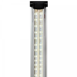 Светильник Biodesign LED SCAPE SUN LIGHT ECO 5000K для Р200/250/А1000/П180/240/Д400(L)/A200/C210