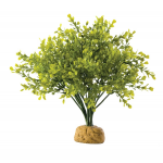 Растение пластиковое Exo Terra Boxwood Bush
