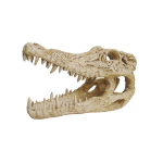 ArtUniq Crocodile Skull - Искусственная декорация "Череп крокодила"