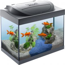 !Аквариум Tetra Starter Line LED Goldfish 30 л.