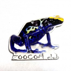 Магнит ZOOCOM CLUB Лягушка древолаз