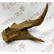 Корень каштановый XS, 25-40 см