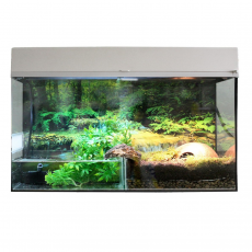 Террариум LUCKY REPTILE Стартовый комплект для Амфибий, белый, 50х28х40 см
