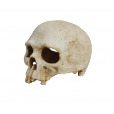 LUCKY REPTILE Декорация для террариума, череп "Skull Monkey", 15х12х11см