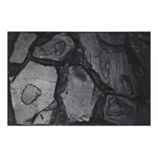 !Фон для террариума LUCKY REPTILE Altamira, 98x48 см