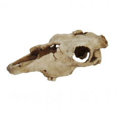 LUCKY REPTILE Декорация для террариума, череп "Skull Cow", 22.5х12.5х8.5см