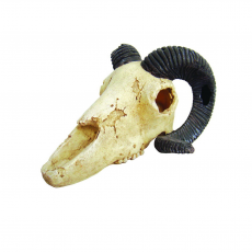 LUCKY REPTILE Декорация для террариума, череп "Skull Ram", 19.5х7х12см