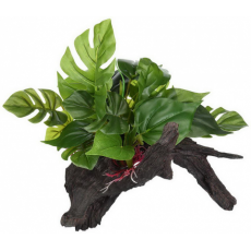 LUCKY REPTILE Декоративная коряга лесная, премиум "Forest Wood Premium" 37х25.5х27см