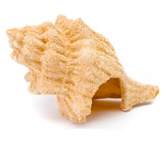 Декорация для аквариума "Песчаная ракушка" 20*11*12 см