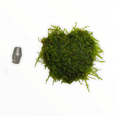 Мох яванский в форме сердца (аквадекор)