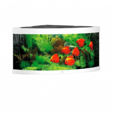Аквариум Juwel TRIGON 350 LED 350л белый (White) 123х87х65см 2х12W/2х23W Фильтр Bioflow XL, Нагр300W