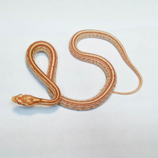 Полоз маисовый (Pantherophis Guttatus) Butter Tessera