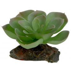 LUCKY REPTILE Декоративное растение для террариумов "Echeveria", зеленое с красным, 8см