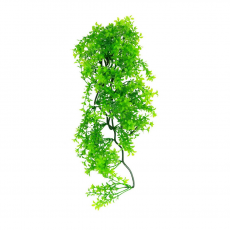 LUCKY REPTILE Декоративное растение для террариумов "Turtle Plant Ceratopteris", 40см