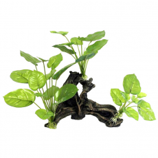 Грот "Коряга с анубиасами" (26.5*12*31см.) (YM-1904)