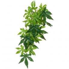 Тропическое растение Exo Terra Jungle Plants Абутилон большое, 80х20 см
