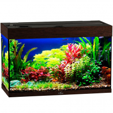 Аквариум Biodesign  РИФ 125 (венге) 125 л, без светильника, 81х38х52 см