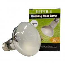 Лампа "Lucky herp" Basking Spot Lamp Normal 75 Вт, R80