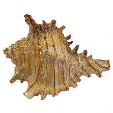 Грот Marlin Морская раковина, 9х7х6 см