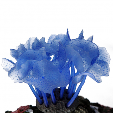 Декор из силикона Коралл синий мягкий, 5.5х5,5х12 см