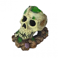 Грот "Череп", 12*9*10 см