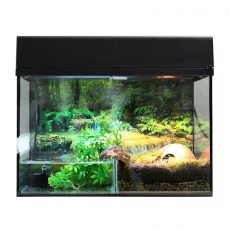 Террариум LUCKY REPTILE Стартовый комплект для Амфибий, черный, 80х40х52 см