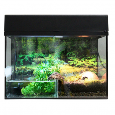 Террариум LUCKY REPTILE Стартовый комплект для Амфибий, черный, 50х28х40 см