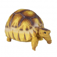 Игрушка черепаха  Nomoy Pet Angonoka L