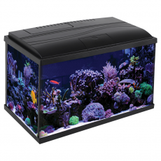 Аквариум  Laguna Eclipse Dark, 18,9л, черный тонированный,  412х208х254 мм
