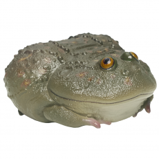 Коллекционная фигурка Лягушка Щитоспинка (Lepidobatrachus llanensis)