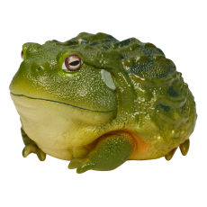 Коллекционная фигурка Лягушка водонос (Pyxicephalus abspersus)