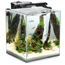Aквариум AQUAEL FISH&SHRIMP SET DUO D&N 35 черный (49 л), 35х45х45см