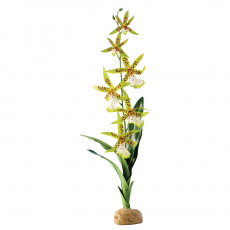 Искусственное растение Exo Terra Spider Orchid, пластиковое растение Паучья орхидея