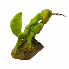 Коллекционная фигурка Китайский богомол (Tenodera sinensis)