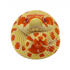 Коллекционная фигурка Свиноносый уж Альбинос (Heterodon nasicus albino)