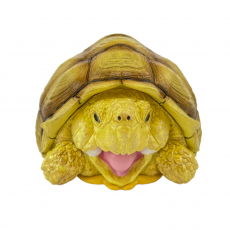Коллекционная фигурка Шпороносная черепаха (Centrochelys sulcata)