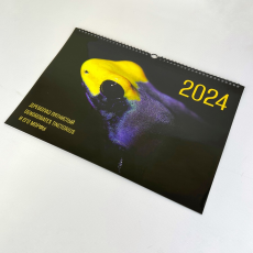 Календарь "Древолазы" 2024