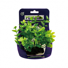 Искусственное растение 12 см в картонной коробке (YS-92106)