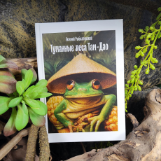 Книга "Туманные леса Там-Дао" Е.М. Рыбалтовский, доставка в любой регион России
