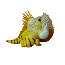 Коллекционная фигурка Обыкновенная (зеленая) игуана (Iguna iguana)