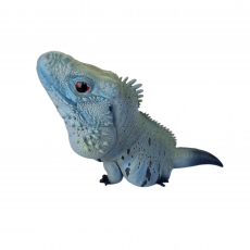 Коллекционная фигурка голубая Циклура  (Cyclura lewisi)