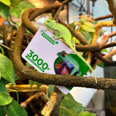 Подарочный сертификат на 3000 рублей